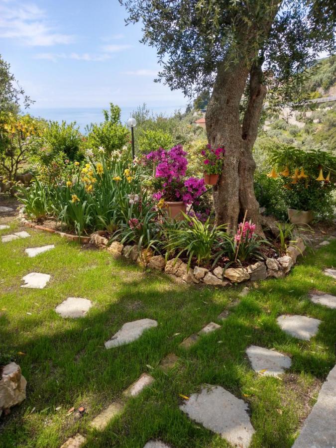 Villino Brunetto Azienda Agrituristica Камогли Екстериор снимка
