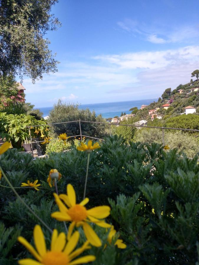 Villino Brunetto Azienda Agrituristica Камогли Екстериор снимка