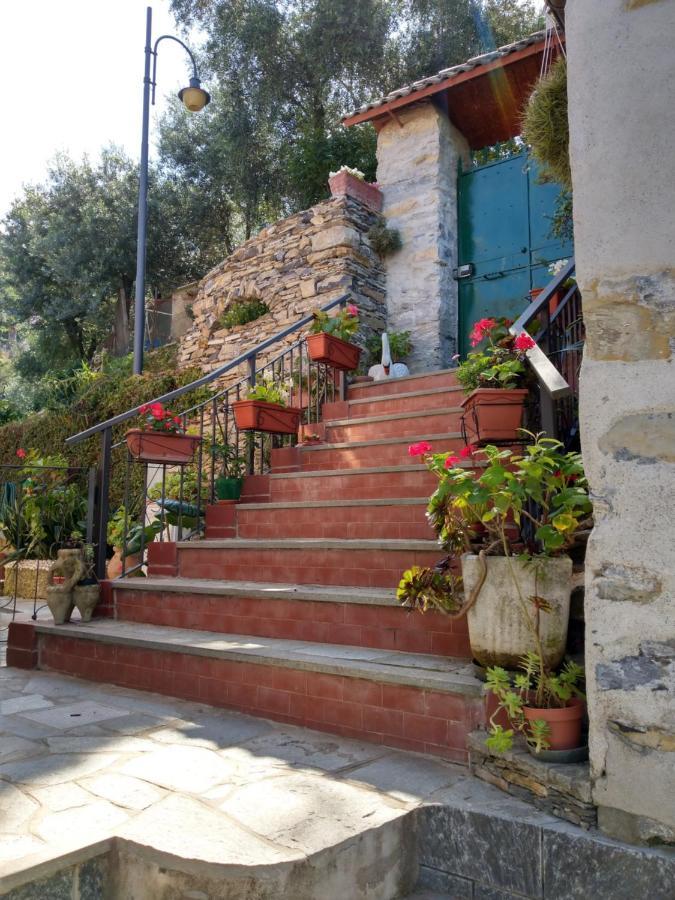 Villino Brunetto Azienda Agrituristica Камогли Екстериор снимка